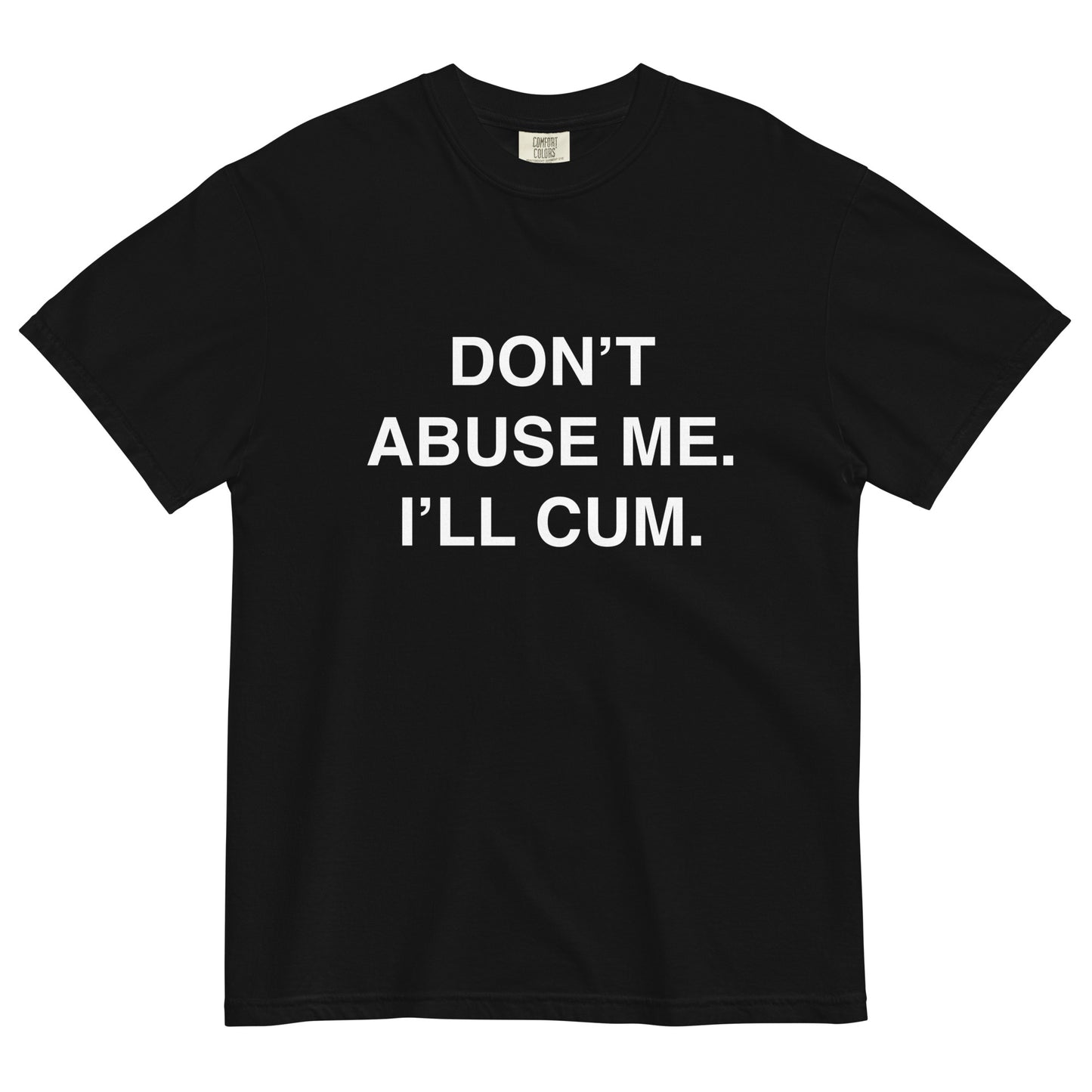 DON'T ABUSE ME HEAVYWEIGHT T-SHIRT