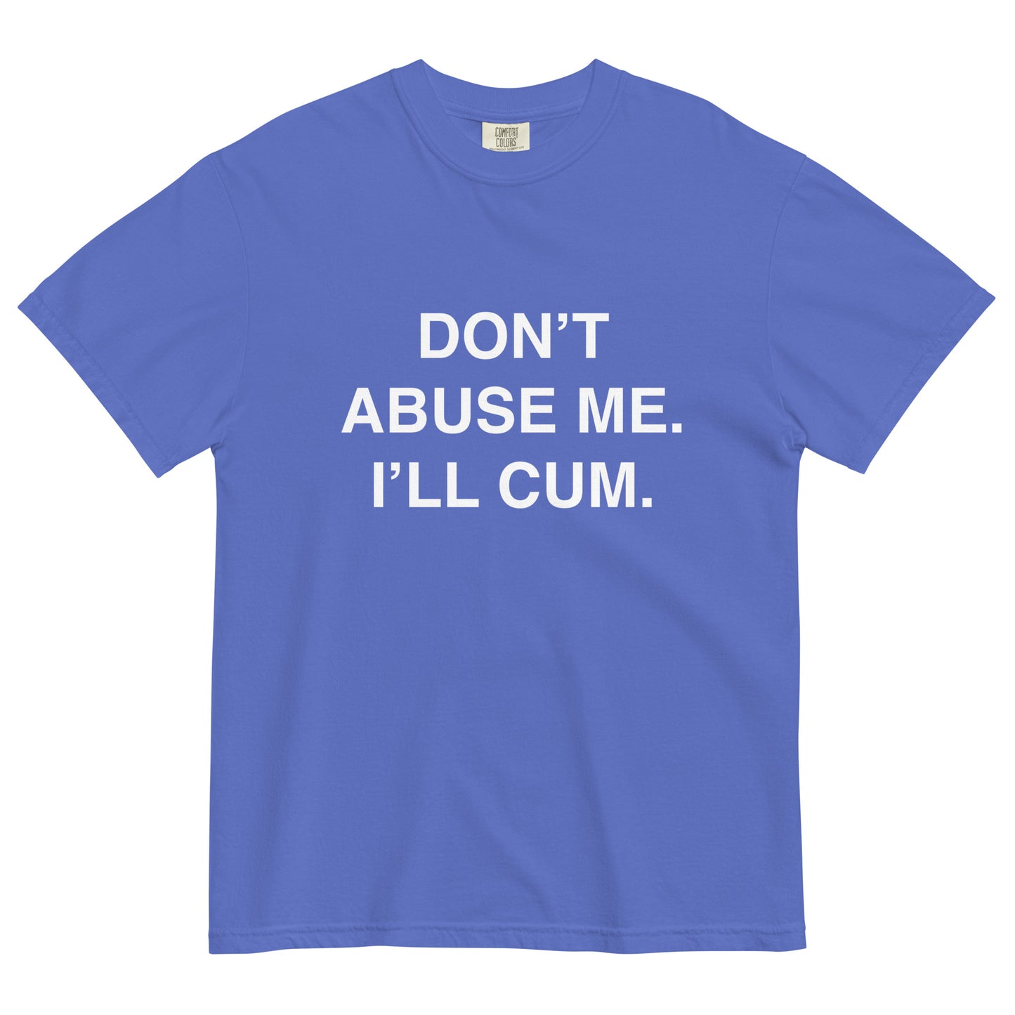 DON'T ABUSE ME HEAVYWEIGHT T-SHIRT