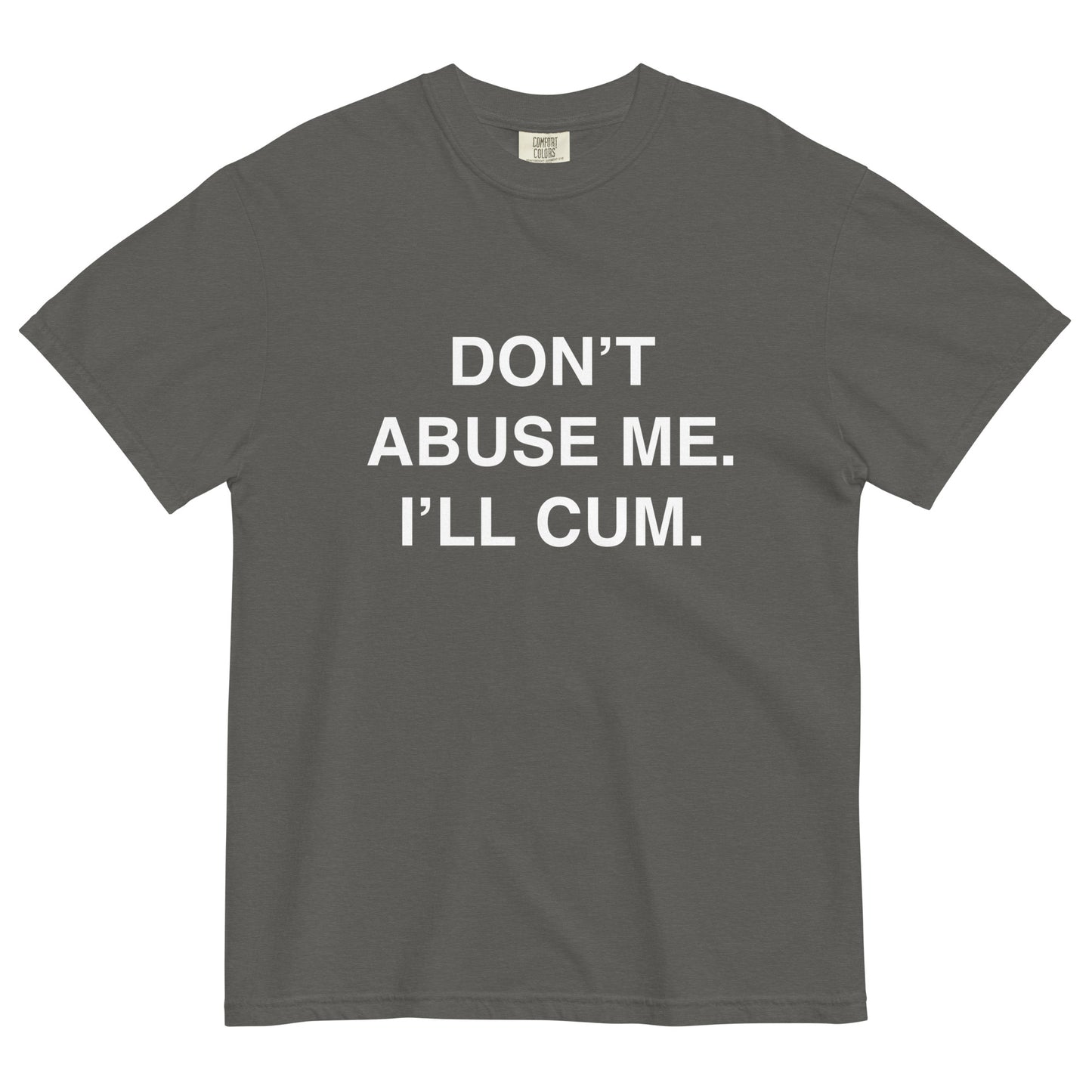 DON'T ABUSE ME HEAVYWEIGHT T-SHIRT